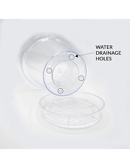 Kalapanta Kit para Trasplantar Orquídeas: 1 Maceta Transparente Ø14cm con Agujeros de Drenaje, 1 Plato Ø12cm, 1 Saco de 2L de