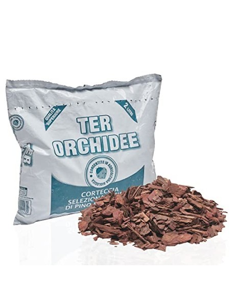 Kalapanta Kit para Trasplantar Orquídeas: 1 Maceta Transparente Ø14cm con Agujeros de Drenaje, 1 Plato Ø12cm, 1 Saco de 2L de