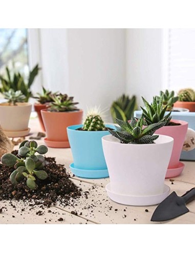 TSKDKIT 20cm macetas de plástico con Plato Extra Grandes macetas de plástico Coloridas macetasplantas bonsái macetas de siemb