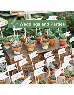 Juego de 28 Maceta de Florero,tiestos para Plantas 5,5cm,macetas de Terracota con Orificio de Drenaje para Balcón Jardín Deco 2