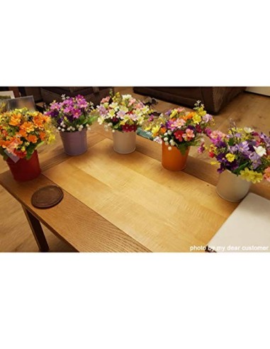 GIOVARA Juego de 10 Jarrones de Flores de Metal Florero para Colgar Canasta sin Orificio de Drenaje, Gancho Desmontable, Balc