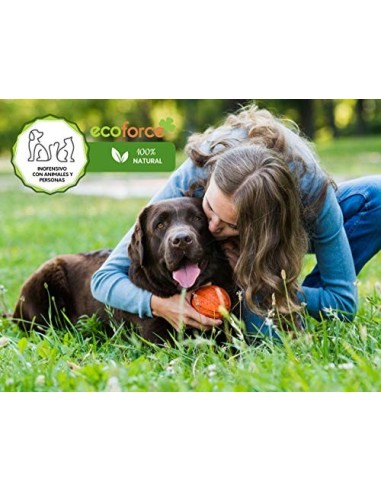 CULTIVERS Humus de Lombriz Ecológico 3 L Universal. Abono para Plantas. Fertilizante Orgánico 100% Natural. Reconstituyente d