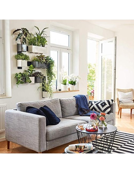 LECHUZA Cube - Maceta de riego Triple Brillante para jardín, Maceta para Interiores y Exteriores, con Orificio de Drenaje, po