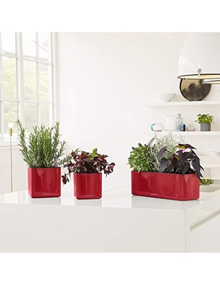 LECHUZA Cube - Maceta de riego Triple Brillante para jardín, Maceta para Interiores y Exteriores, con Orificio de Drenaje, po