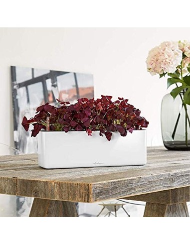 LECHUZA Cube - Maceta de riego Triple Brillante para jardín, Maceta para Interiores y Exteriores, con Orificio de Drenaje, po