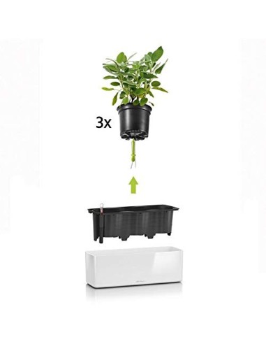 LECHUZA Cube - Maceta de riego Triple Brillante para jardín, Maceta para Interiores y Exteriores, con Orificio de Drenaje, po