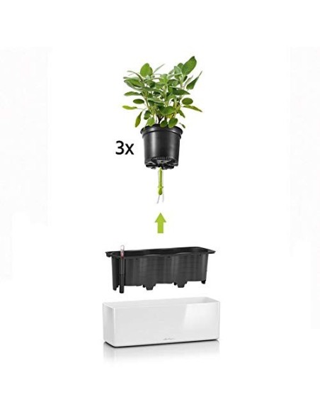 LECHUZA Cube - Maceta de riego Triple Brillante para jardín, Maceta para Interiores y Exteriores, con Orificio de Drenaje, po