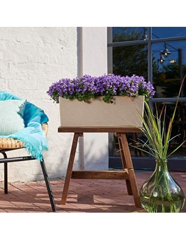 LECHUZA BALCONERA Stone 50 Maceta de riego automático para Interiores y Exteriores, Mesa y Caja de Ventana con Orificio de Dr