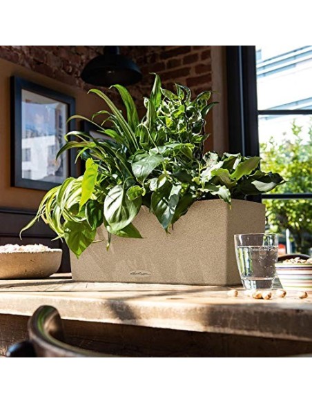 LECHUZA BALCONERA Stone 50 Maceta de riego automático para Interiores y Exteriores, Mesa y Caja de Ventana con Orificio de Dr