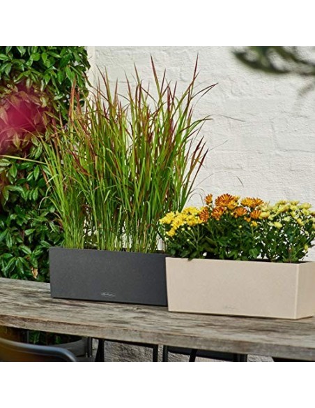 LECHUZA BALCONERA Stone 50 Maceta de riego automático para Interiores y Exteriores, Mesa y Caja de Ventana con Orificio de Dr