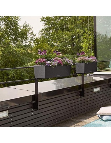 LECHUZA BALCONERA Stone 50 Maceta de riego automático para Interiores y Exteriores, Mesa y Caja de Ventana con Orificio de Dr