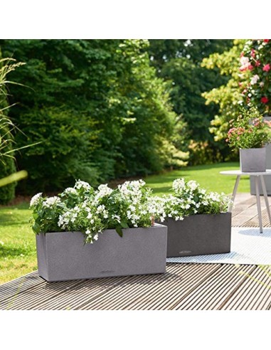 LECHUZA BALCONERA Stone 50 Maceta de riego automático para Interiores y Exteriores, Mesa y Caja de Ventana con Orificio de Dr