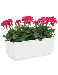 Acan Jardinera Rectangular Blanca de plástico 10 x 24,7 x 13 cm, Maceta, macetero, Recipiente para Plantas y Flores, Uso Inte 2