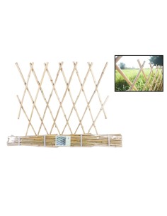 Celosia extensible bambu...