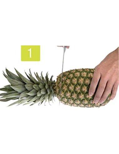 Cortapiñas plastico essential