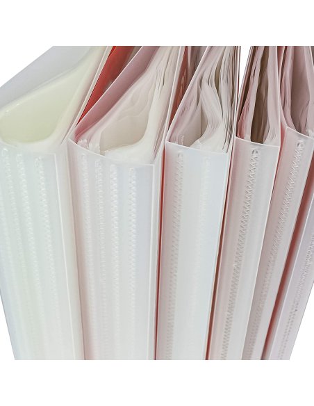 Carpeta Clasificadora con Portada Personalizable A4