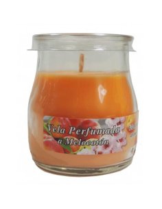 Vaso Yogurt Perf. Tropical...