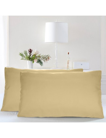 Juego de 2 Fundas Almohada, Protector de Almohada, 100% Microfibra, Cierre con Cremallera, Transpirable, Extra Suave