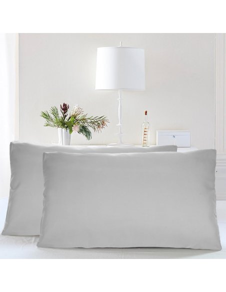 Juego de 2 Fundas Almohada, Protector de Almohada, 100% Microfibra, Cierre con Cremallera, Transpirable, Extra Suave