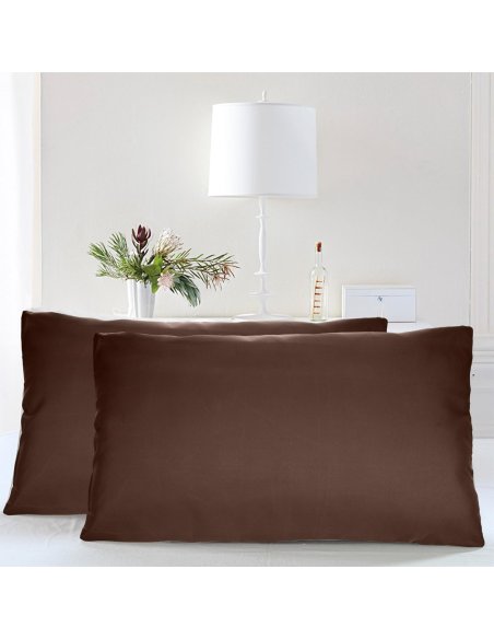 Juego de 2 Fundas Almohada, Protector de Almohada, 100% Microfibra, Cierre con Cremallera, Transpirable, Extra Suave