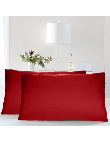 Juego de 2 Fundas Almohada, Protector de Almohada, 100% Microfibra, Cierre con Cremallera, Transpirable, Extra Suave