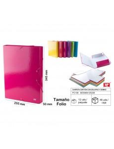 Carpeta archivo carton con...